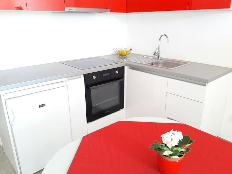 Studio Apartment Ivana - New Sweet Apartment ดูบรอฟนิก ภายนอก รูปภาพ