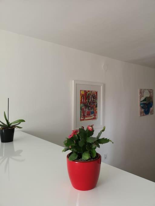 Studio Apartment Ivana - New Sweet Apartment ดูบรอฟนิก ภายนอก รูปภาพ
